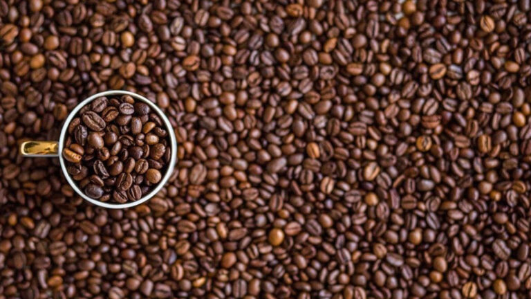 Подробнее о статье Полезные советы по выбору кофейных зёрен