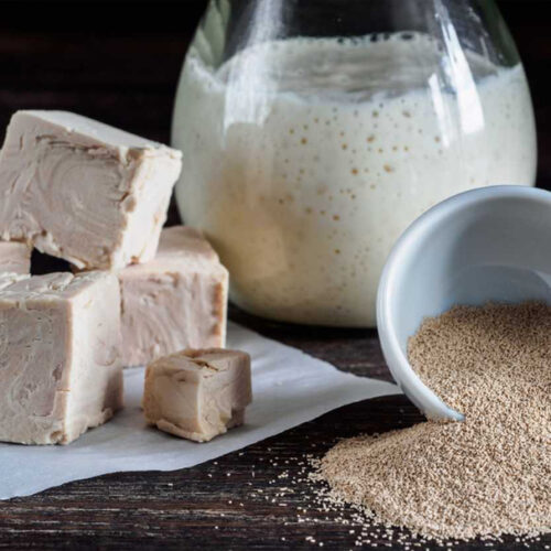 Сухие дрожжи или свежие дрожжи?