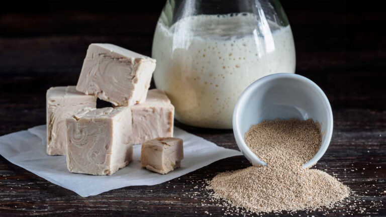 Подробнее о статье Сухие дрожжи или свежие дрожжи?